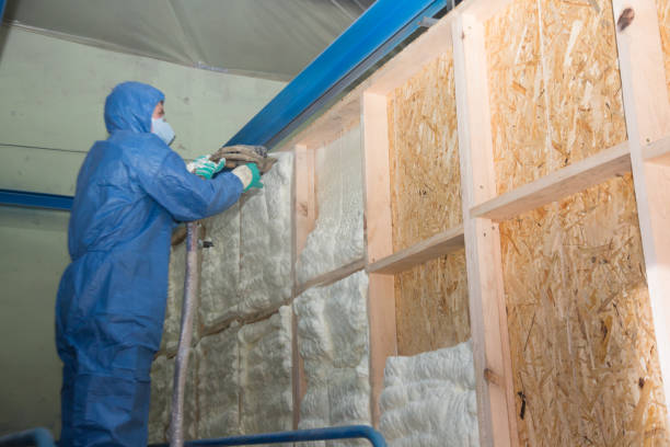 Best Insulation Contractors for Homes  in Manitou Beach Devils Lake, MI